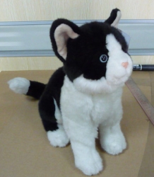 plush cat