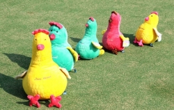 plush hen