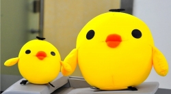 pluch chicken
