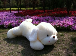 plush dog