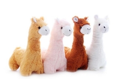 plush sheep